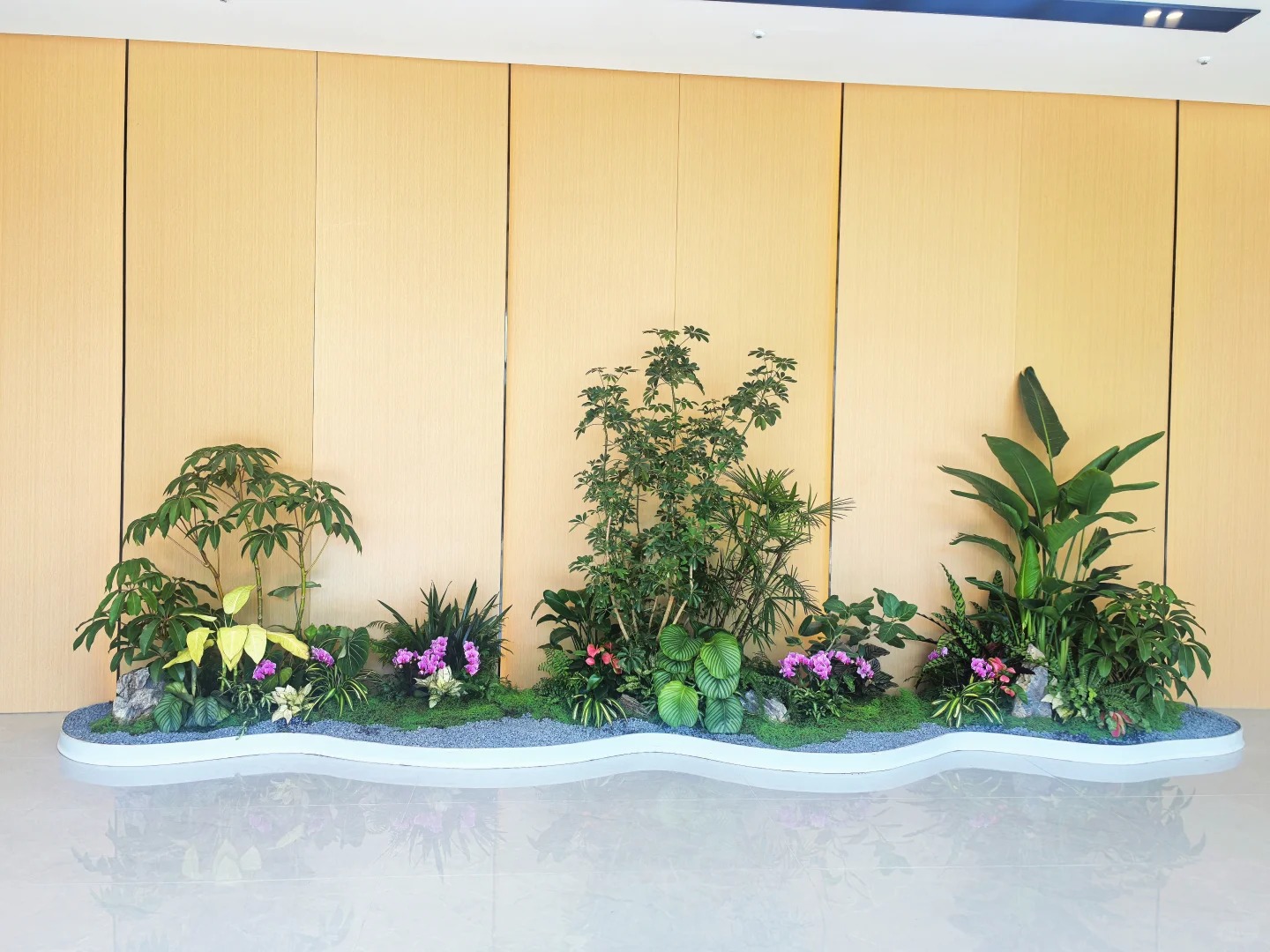 专业植物出租,宁波镇海绿植租赁的不二之选