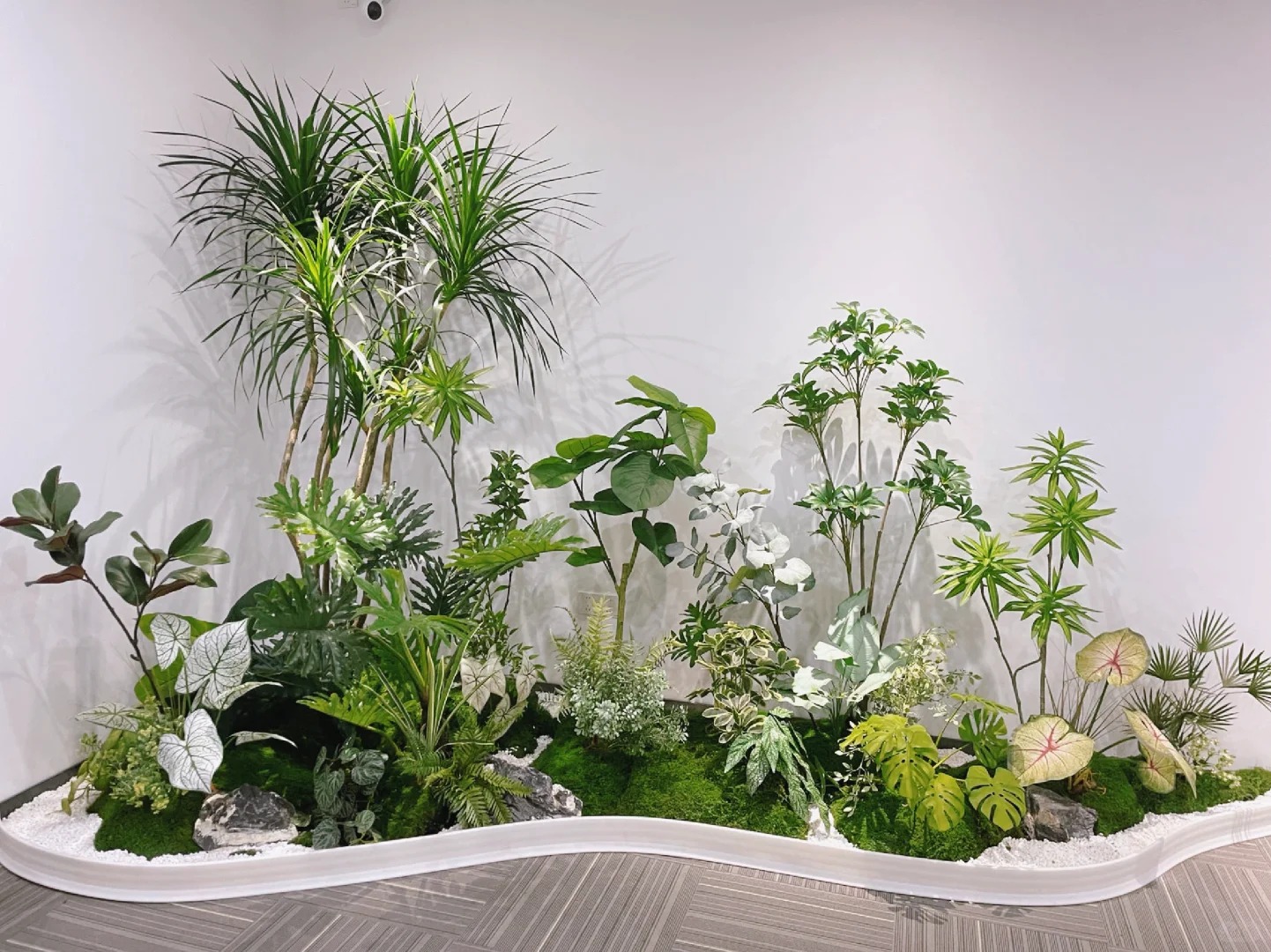 专业植物出租,宁波镇海绿植租赁的不二之选